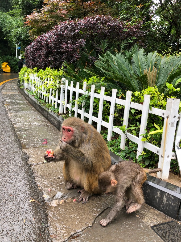 Guiyang photo 1