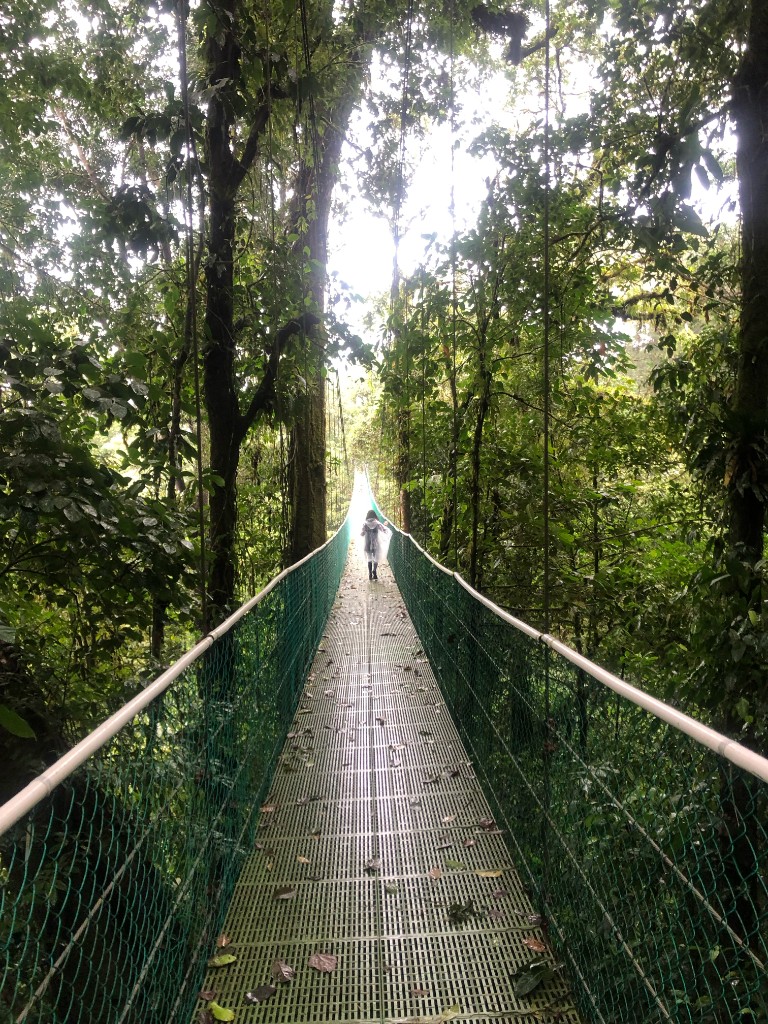 Monteverde hanging bridge
