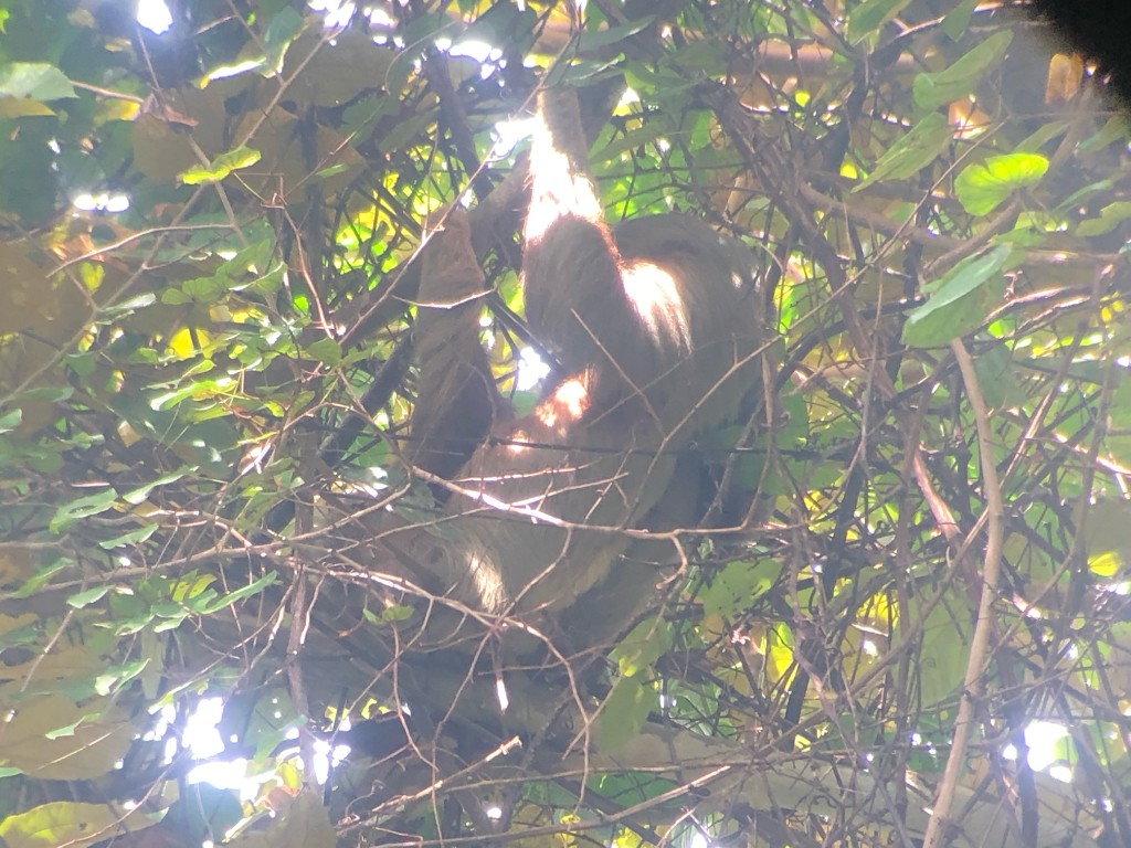 Puntarenas photo 2