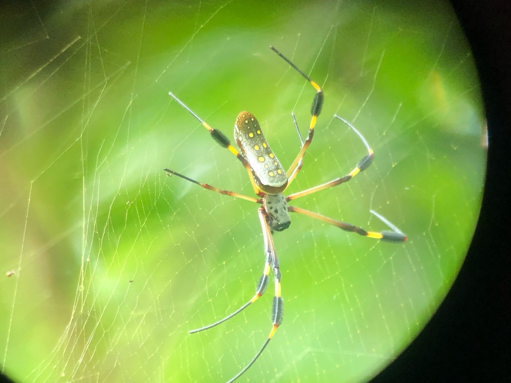 Puntarenas photo 3
