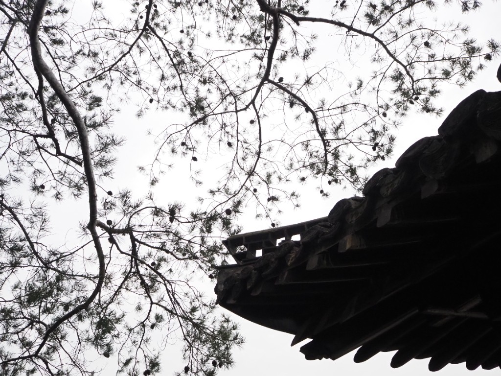 Yangzhou garden roof photo